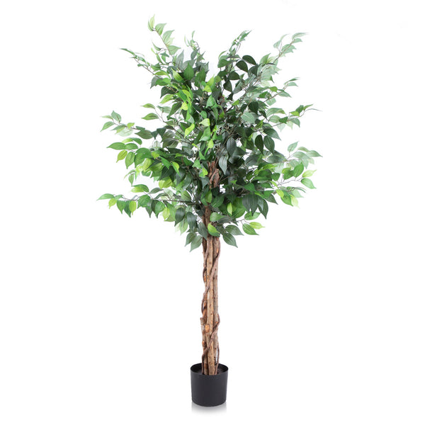 Alfresia Montego Bay Artificial Plant | Height 170cm