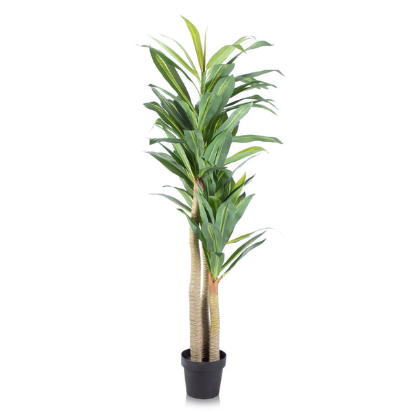 Alfresia Mauritius Artificial Plant | Height 160cm