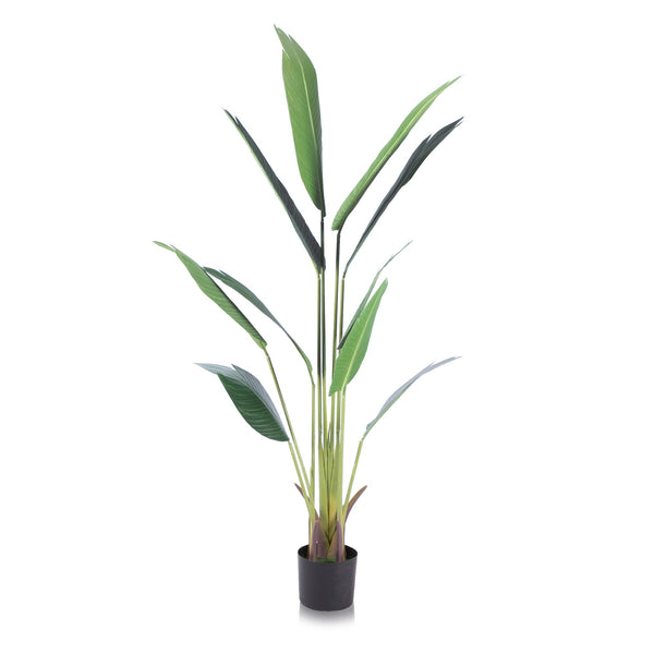 Alfresia Aruba Artificial Plant | 160cm